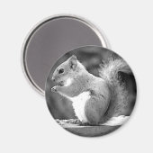 eekhoorn magneet (Voorkant / Achterkant)