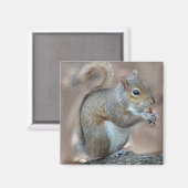 eekhoorn magneet (Voorkant / Achterkant)