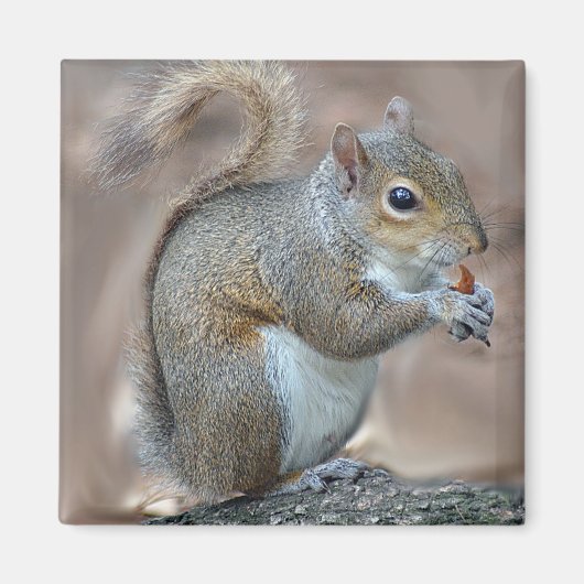 eekhoorn magneet (Voorkant)