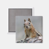 eekhoorn magneet (Voorkant / Achterkant)