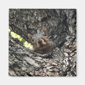 eekhoorn magneet (Voorkant)