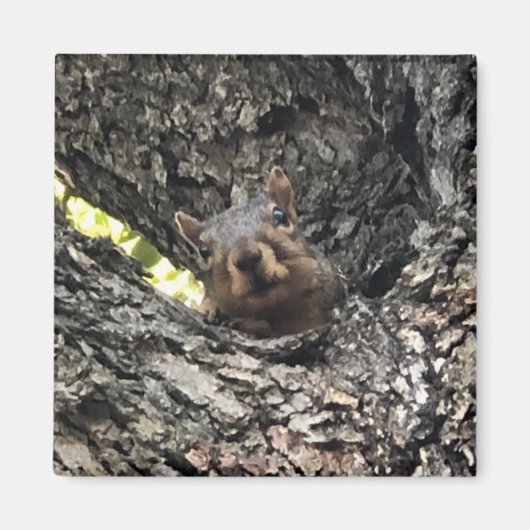 eekhoorn magneet (Voorkant)