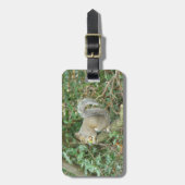 Eekhoorn met Acorn Custom Bagagelabel (Voorkant verticaal)