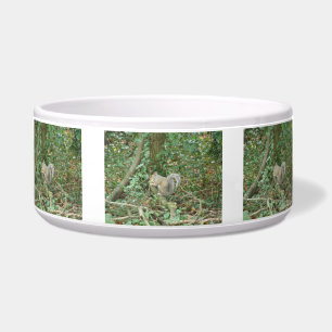 Eekhoorn met Acorn Dog Bowl Voerbakje