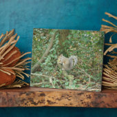 Eekhoorn met Acorn Plaque Fotoplaat (Zijkant)