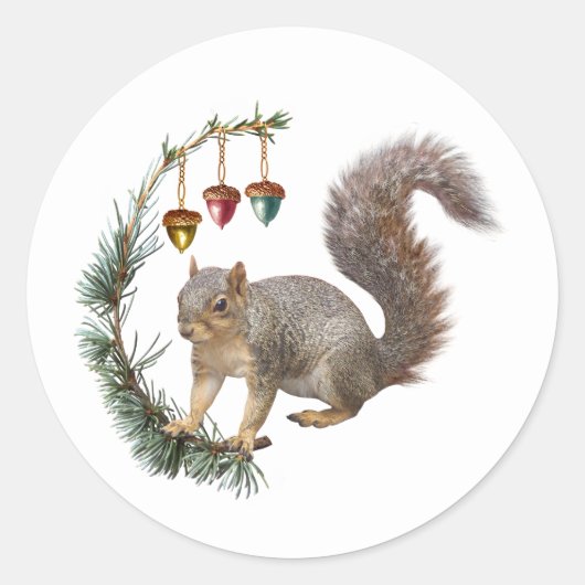 Eekhoorn met Acorn Swag Stickers (Voorkant)