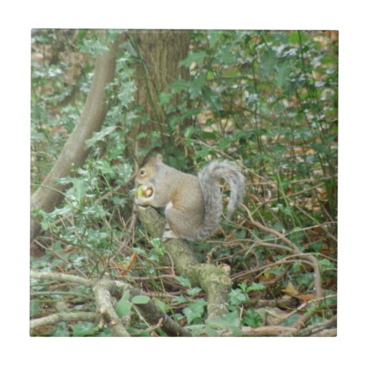 Eekhoorn met Acorn Tile Tegeltje (Voorkant)