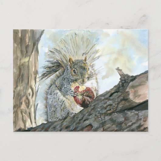 Eekhoorn met appelbriefkaart briefkaart (Voorkant)