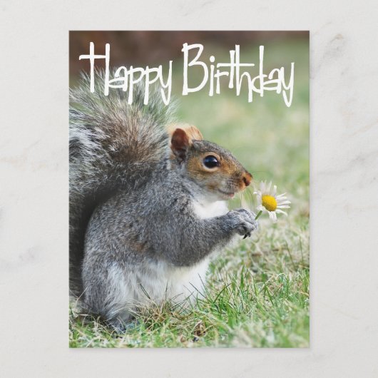 Eekhoorn met Daisy Happy Birthday Briefkaart (Voorkant)