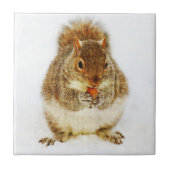 Eekhoorn met een eikel tegeltje (Voorkant)