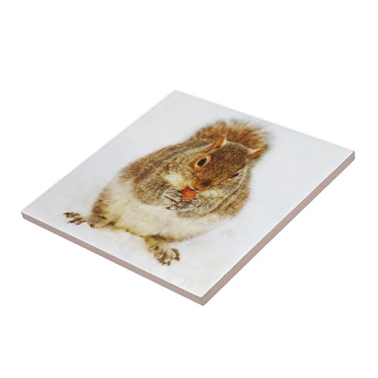Eekhoorn met een eikel tegeltje (Zijkant)