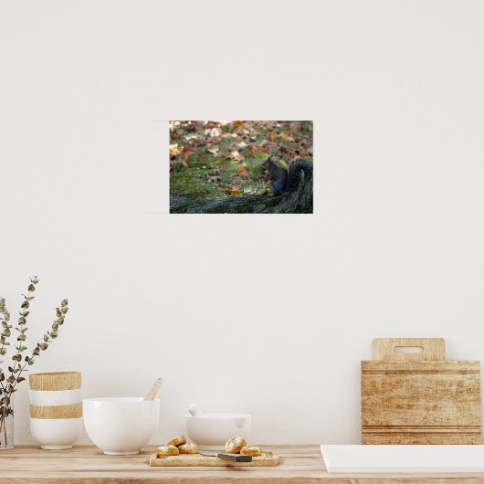 Eekhoorn met een moer poster (Keuken)
