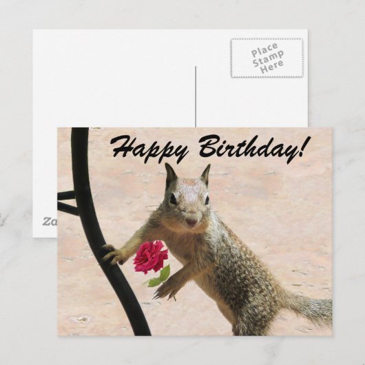 Eekhoorn met een Roos Verjaardag Wenskaart Briefkaart (Voorkant / Achterkant)