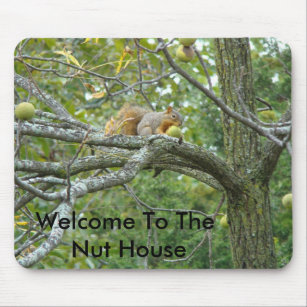 Eekhoorn met een walnoot, welkom in het Nut House Muismat