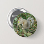 Eekhoorn met Eikel Knop Ronde Button 5,7 Cm (Voorkant /achterkant)