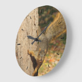 Eekhoorn met foto van nout grote klok (Hoek)