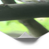 Eekhoorn met foto's zonder Natuur schilderen Poster (Hoek)