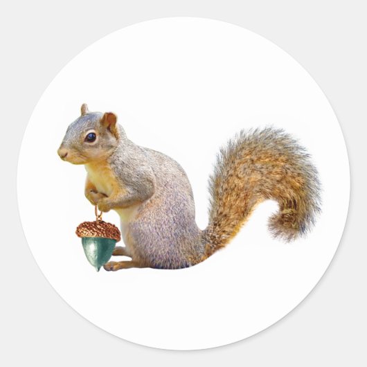 Eekhoorn met gekleurde eikel Stickers (Voorkant)