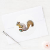 Eekhoorn met gekleurde eikel Stickers (Envelop)