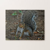 Eekhoorn met gloeiende ogen legpuzzel (Horizontaal)