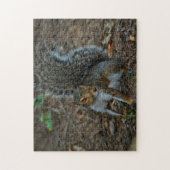 Eekhoorn met gloeiende ogen legpuzzel (Verticaal)