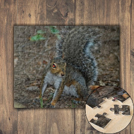 Eekhoorn met gloeiende ogen legpuzzel