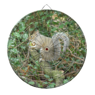 Eekhoorn met het Dartboard van de Eikel Dartbord