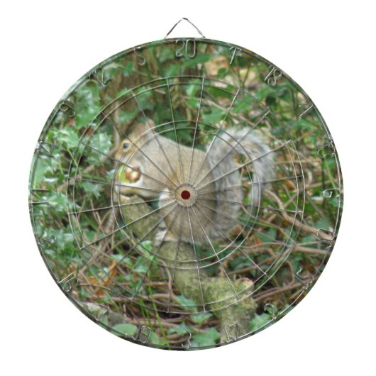Eekhoorn met het Dartboard van de Eikel Dartbord (Voorkant)