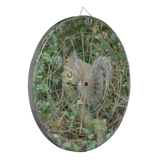 Eekhoorn met het Dartboard van de Eikel Dartbord (Voorkant Links)