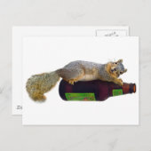 Eekhoorn met lege bierfles briefkaart (Voorkant / Achterkant)