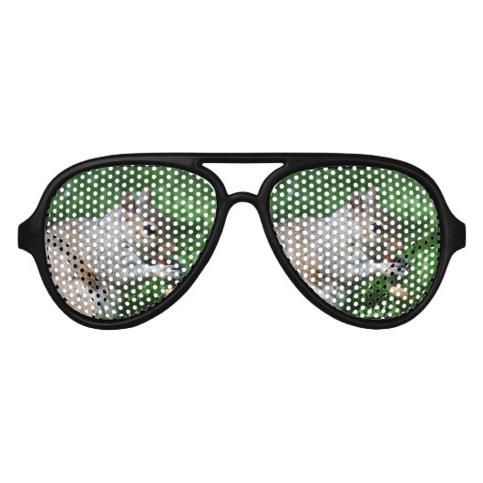Eekhoorn met moer aviator zonnebril (Voorkant)