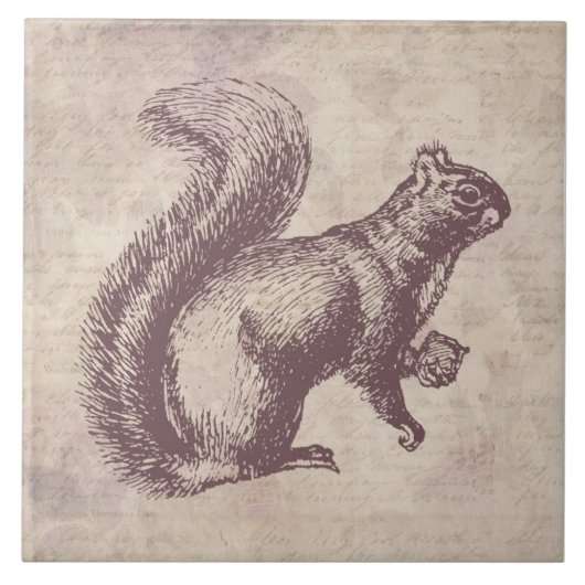 Eekhoorn met niet- tekenstijl tegeltje (Voorkant)