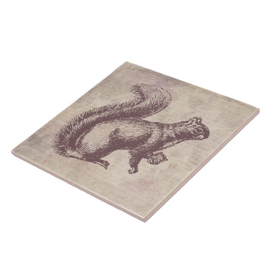Eekhoorn met niet- tekenstijl tegeltje (Zijkant)