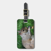 Eekhoorn met Nut Bagagelabel (Voorkant verticaal)