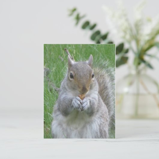 Eekhoorn met nut briefkaart (Staand voorkant)