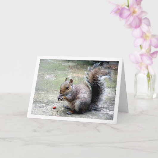 Eekhoorn met Nut Kaart (Orchidee)