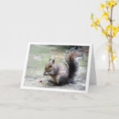 Eekhoorn met Nut Kaart (Gele Bloem)
