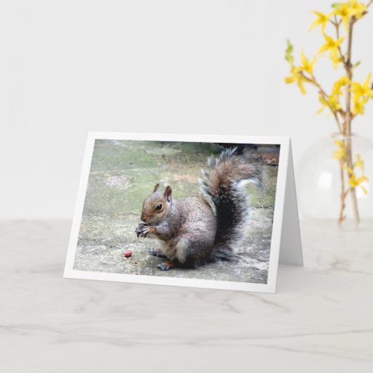 Eekhoorn met Nut Kaart (Gele Bloem)