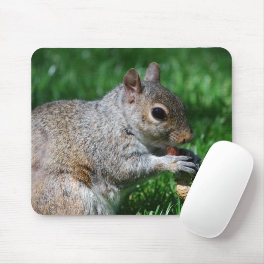 Eekhoorn met Nut-Muismat Muismat (Met muis)