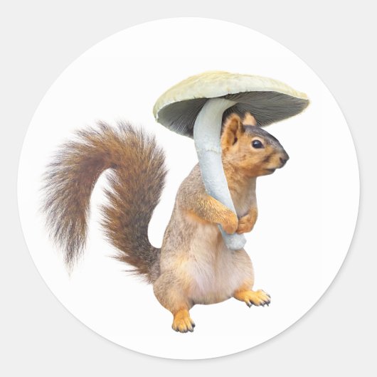 Eekhoorn met paddenstoel Sticker (Voorkant)