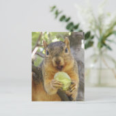 Eekhoorn met peren briefkaart (Staand voorkant)