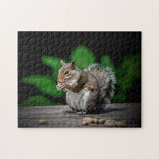 Eekhoorn met pinda's legpuzzel (Horizontaal)