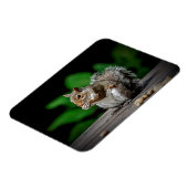 Eekhoorn met pinda's magneet (Linkerzijde)