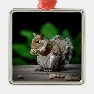Eekhoorn met pinda's metalen ornament
