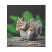 Eekhoorn met pinda's notitieblok (Voorkant)