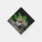 Eekhoorn met pinda's servet (Hoek)