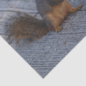 Eekhoorn met Pop Tissuepapier (Detail)