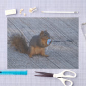 Eekhoorn met Pop Tissuepapier (Craft)