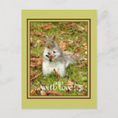 Eekhoorn met rozen briefkaart (Voorkant)