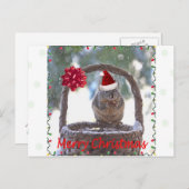 Eekhoorn met Santa Hat Feestdagenkaart (Voorkant / Achterkant)